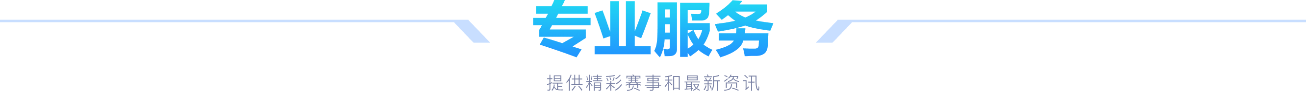 专业服务